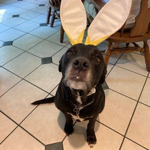 Meet your Posher, Austin